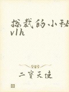 总裁的小秘书1v1h