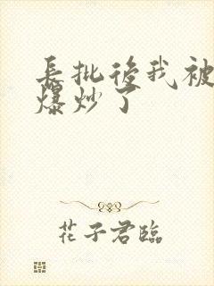 长批后我被宿敌爆炒了封面