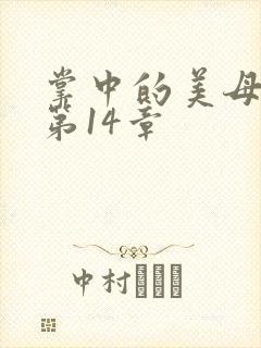 掌中的美母版主第14章