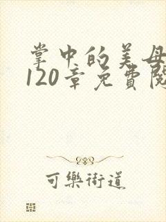 掌中的美母版主120章免费阅读封面