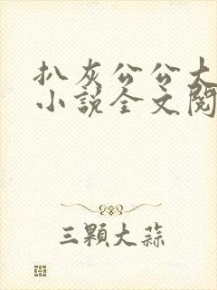 扒灰公公大杂烩小说全文阅读封面