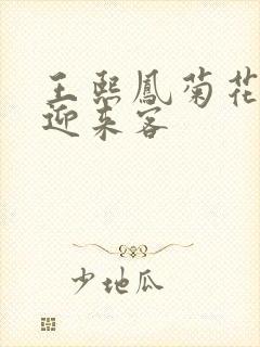 王熙凤菊花门初迎来客