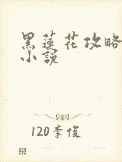 黑莲花攻略手册小说