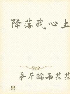 降落我心上封面