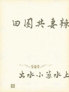 田园共妻辣