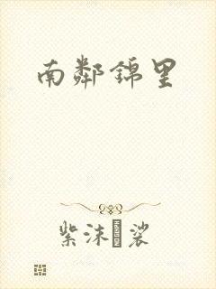 南邻锦里封面