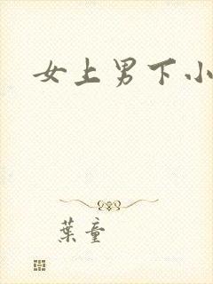 女上男下小说