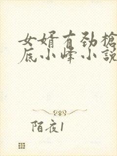 女婿有劲枪枪到底小峰小说