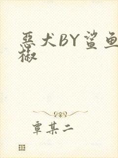 恶犬BY鲨鱼辣椒