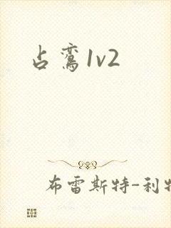 占鸾1v2