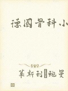 德国骨科小说