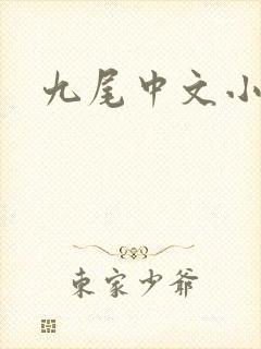 九尾中文小说网