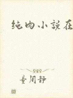 纯肉小说在线
