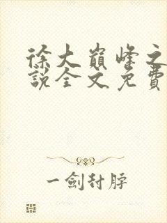 徐大巅峰之路小说全文免费阅读