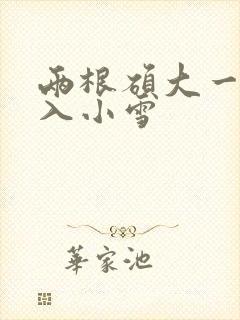 两根硕大一起挤入小雪