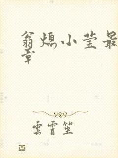 翁熄小莹最新节章