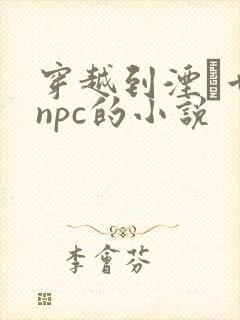 穿越到湮婸世界npc的小说