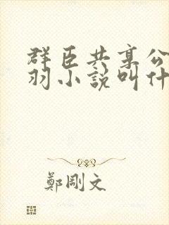 群臣共享公主银羽小说叫什么
