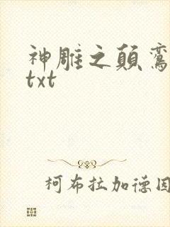 神雕之颠鸾倒凤txt