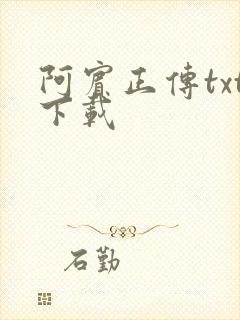 阿宾正传txt下载