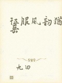 征服风韵犹存的岳封面