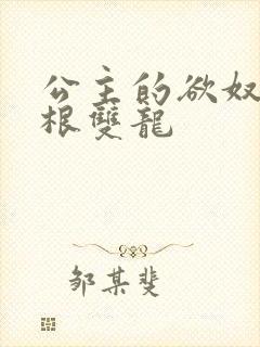 公主的欲奴h四根双龙封面