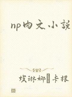 np肉文小说