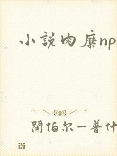 小说肉糜np