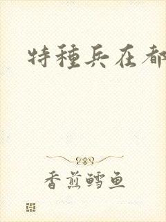 特种兵在都市