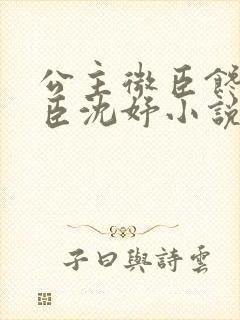 公主微臣馋了微臣沈妤小说封面