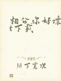 相公你好坏txt下载封面