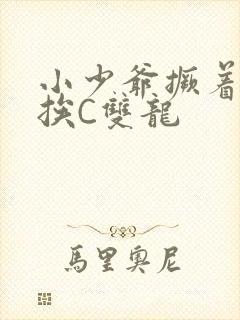 小少爷撅着屁股挨C双龙封面