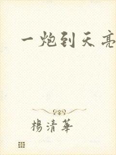 一炮到天亮封面