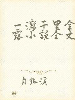 一泻千里金银花露小说全文免费阅读