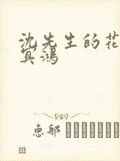 沈先生的花式调冥鸿