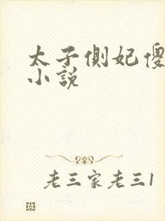 太子侧妃傻乎乎小说