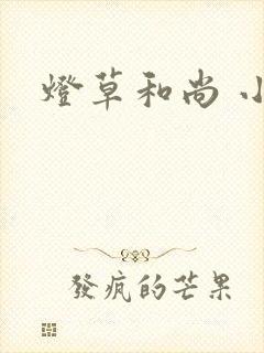 灯草和尚 小说