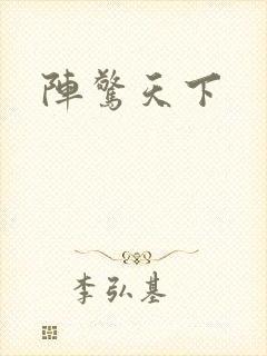 阵惊天下封面
