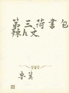 第三荷书包网高辣h文