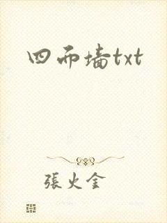 四面墙txt