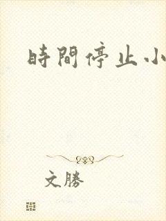 时间停止小说
