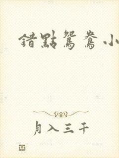 错点鸳鸯小说封面