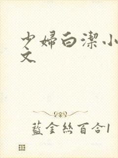 少妇白洁小说全文