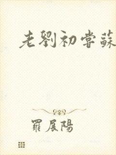 老刘初尝苏荷媳