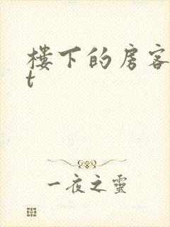 楼下的房客txt封面