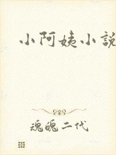 小阿姨小说
