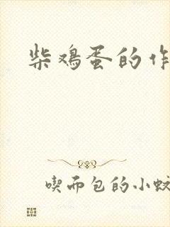 柴鸡蛋的作品封面