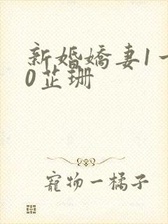 新婚娇妻1一40芷珊