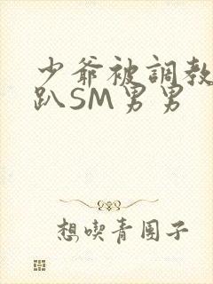 少爷被调教室跪趴SM男男