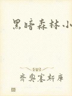 黑暗森林小说封面
